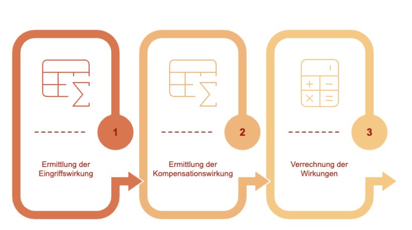 Der Prozess des „Märkischen Modells